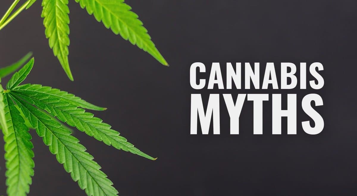 4 myths about legal cannabis supporters