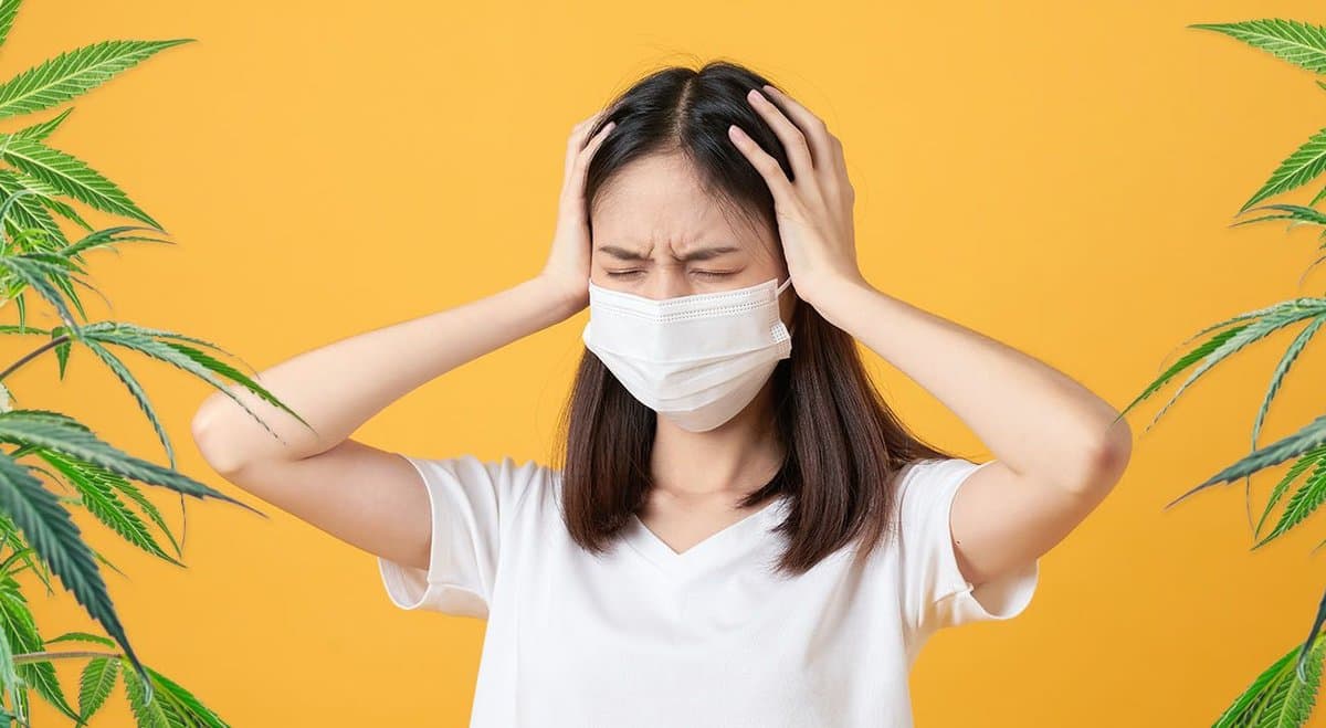 82% of migraine sufferers say cannabis is effective