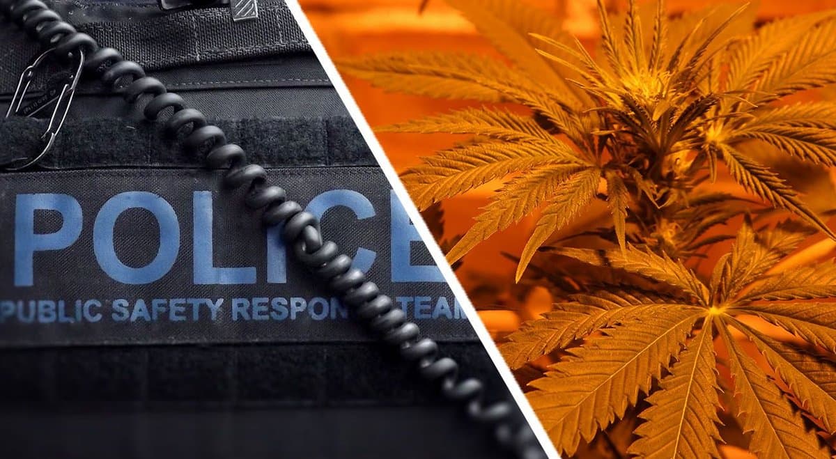 91% of cannabis-related arrests in WA have been on consumers in 2021