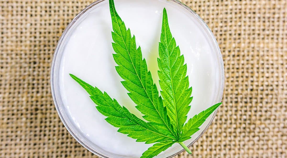 Argentina legalises homegrown cannabis
