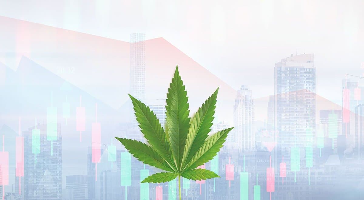 Aurora Cannabis drops shares in the Cann Group