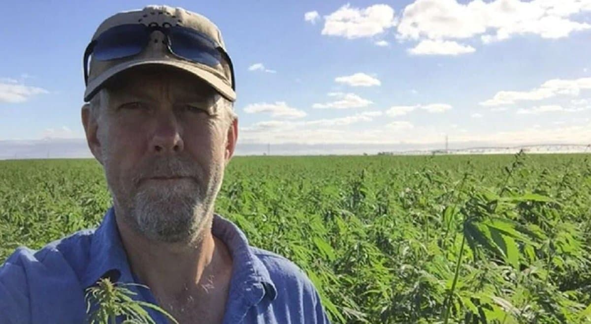 Aussie hemp farmer increases yield by 140% in a few years