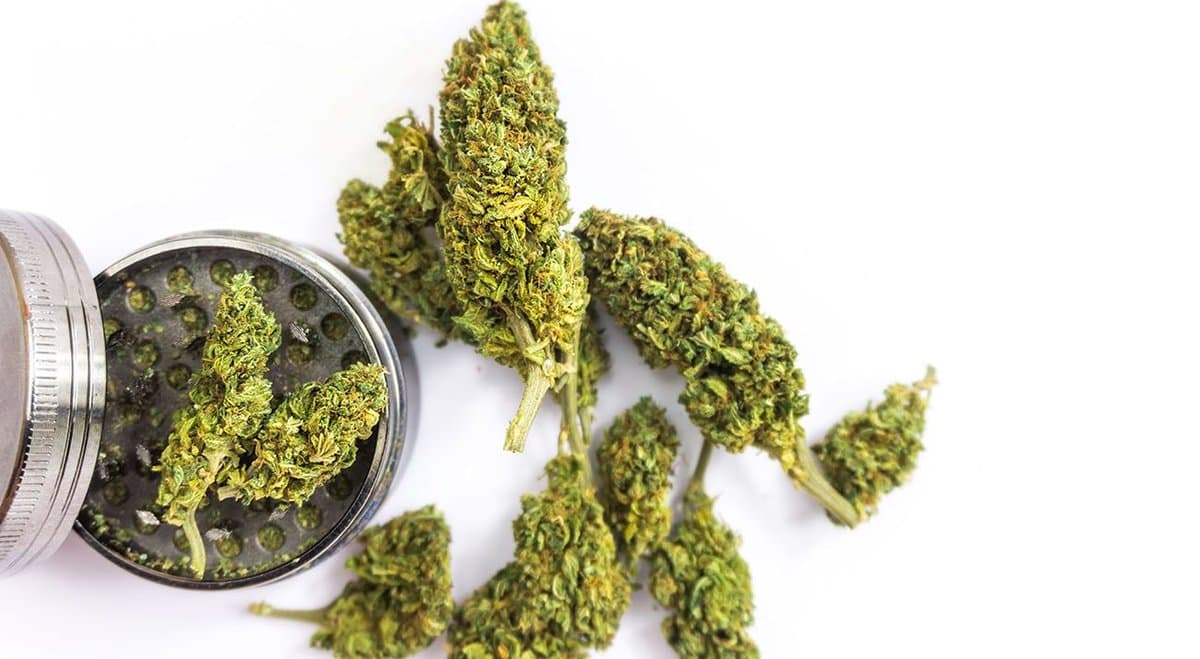 Australian Lawyers Alliance declares cannabis should be decriminalized in Victoria