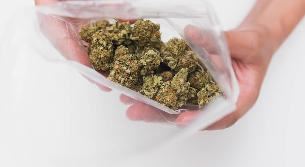 Australia's 5 wacky cannabis crimes of 2020