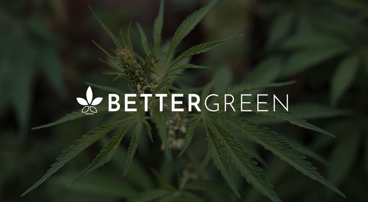 Better Green lodges application to build massive $15 million medical cannabis cultivation facility in Bathurst
