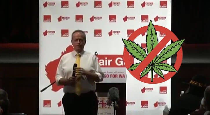 Bill Shorten: "We're not going to legalise cannabis"