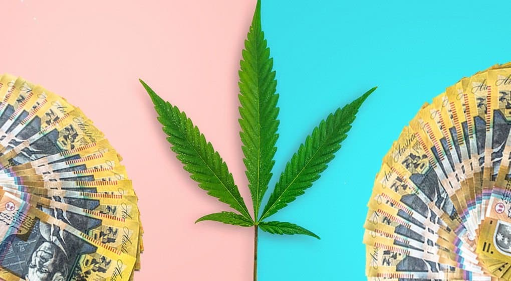 Cannabis could generate $2 billion each year for Australia