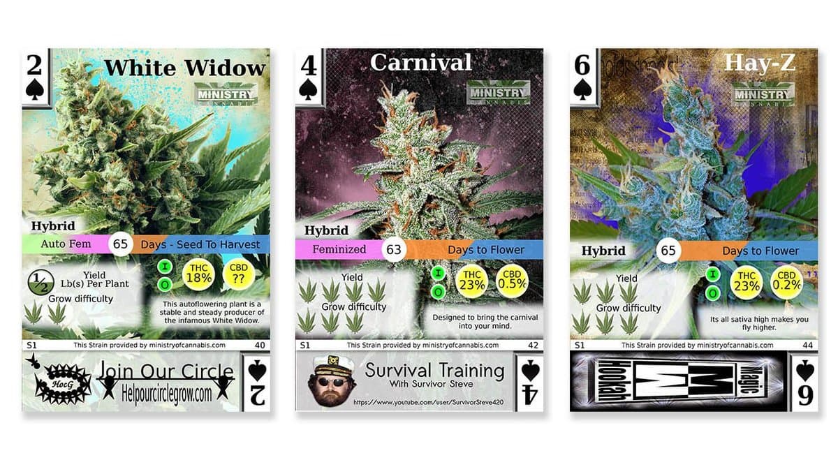 Cannabis trading cards - are they a thing?