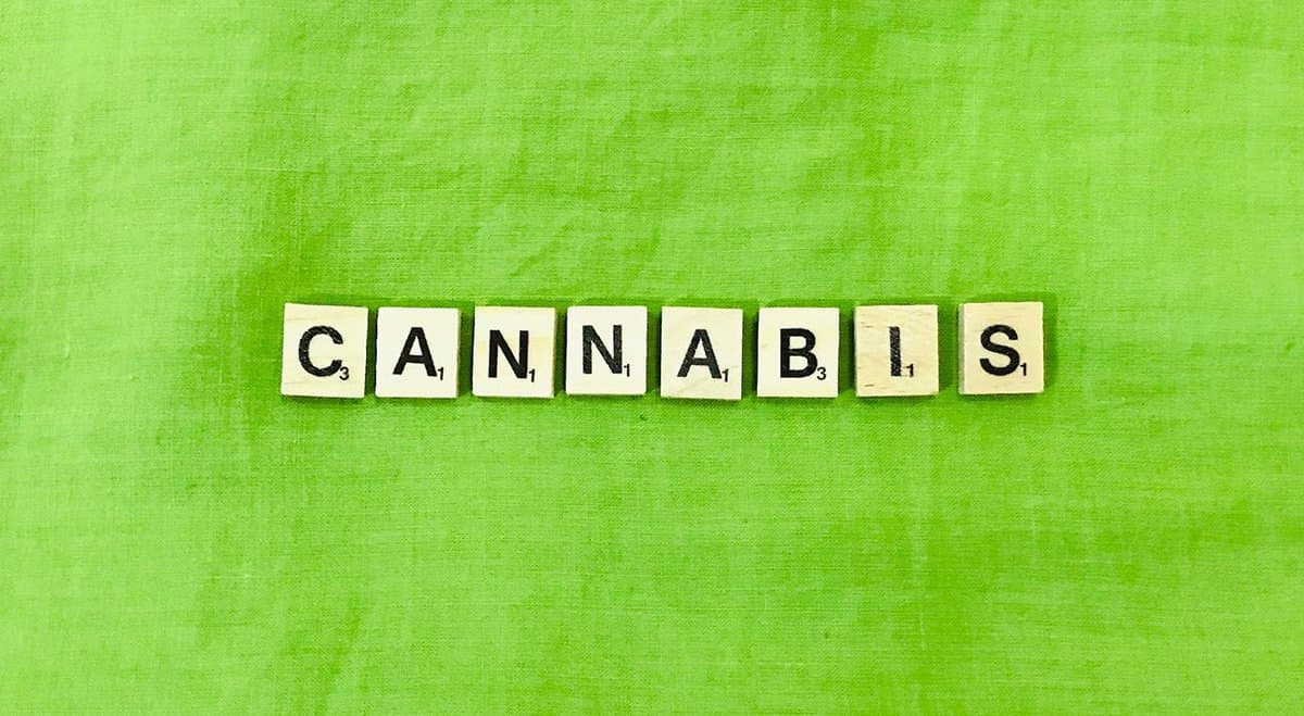 Cannabis trends to watch in 2021
