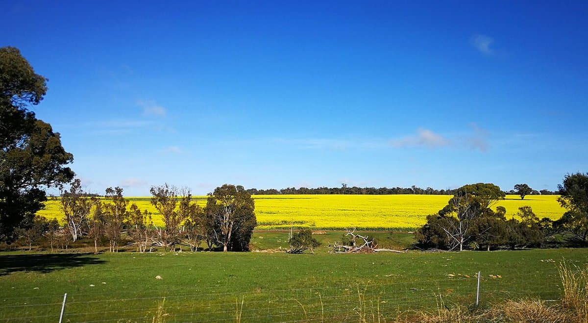 Cannaponics hires local businesses to break ground on its new 5,600 SQM cannabis facility