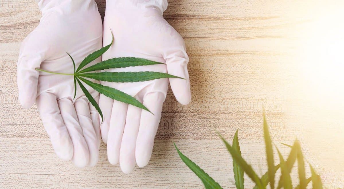 Cannaponics to build a 160-acre medical cannabis production facility in Western Australia