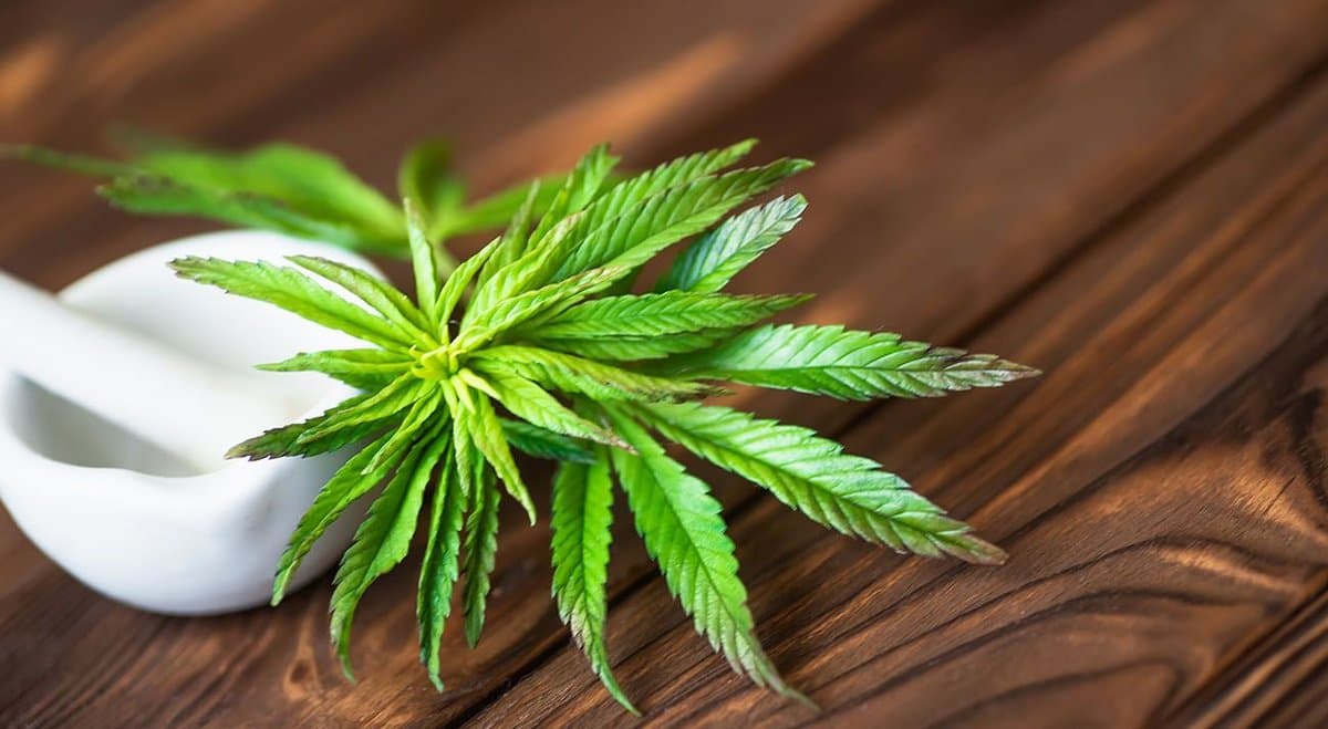 Cannim set to become major name in adult-use cannabis market through strategic merger