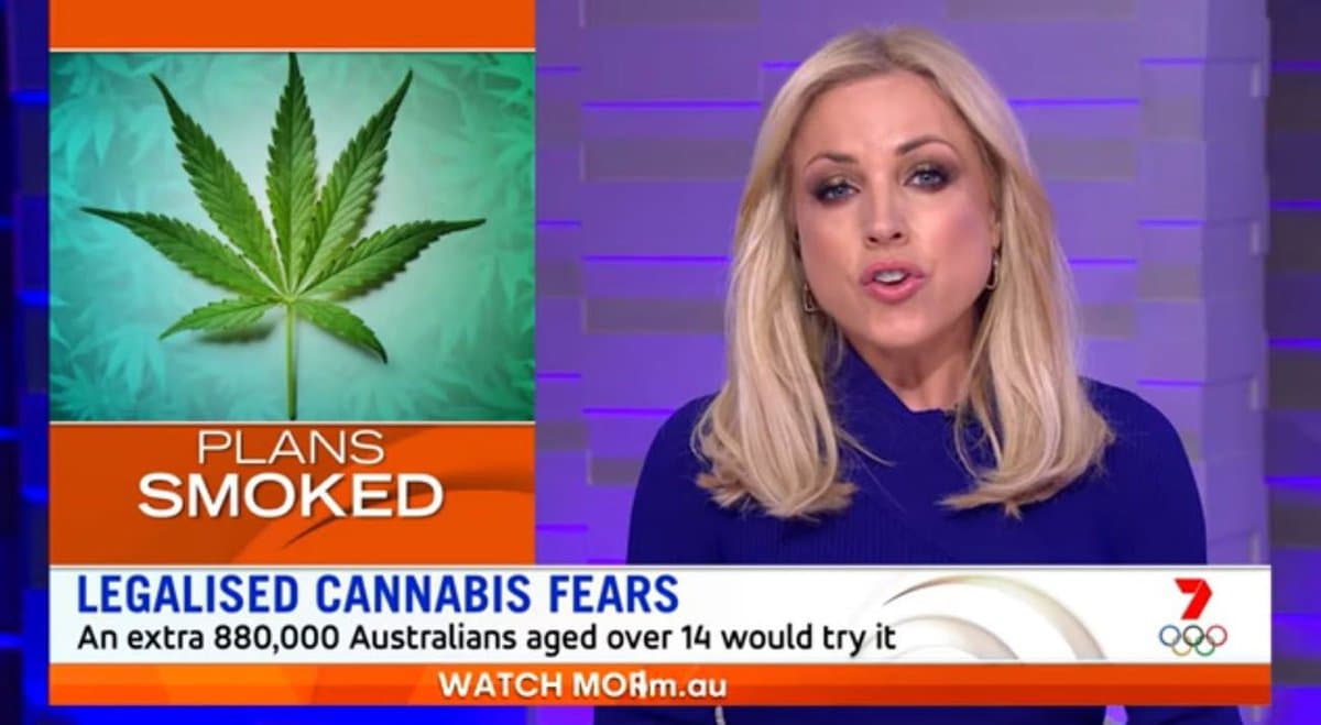 Channel 7's Sunrise renews cannabis 'fears' with old study