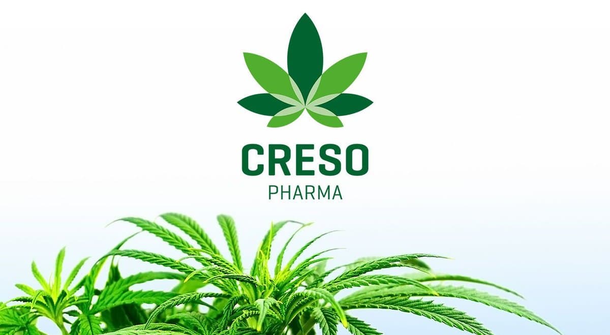 Creso Pharma surges on back of US bill to decriminalise cannabis