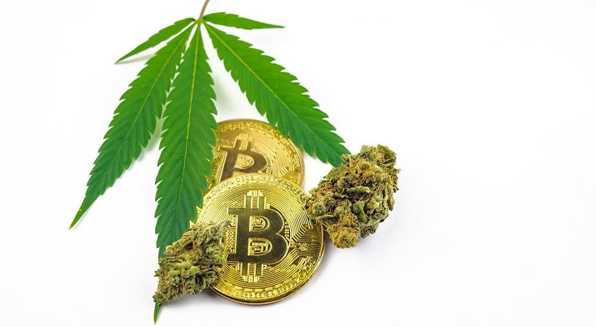Crypto & Cannabis - the pair of the future?
