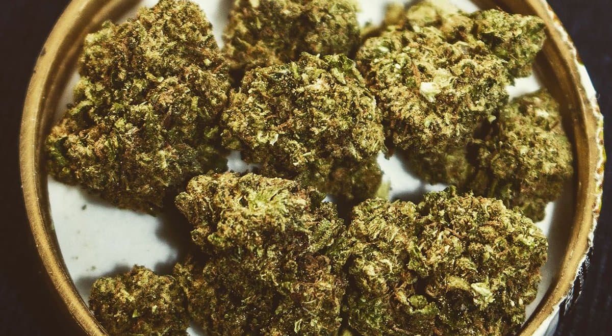 Drink driver caught with 957 grams of cannabis in supermarket bag during roadside stop