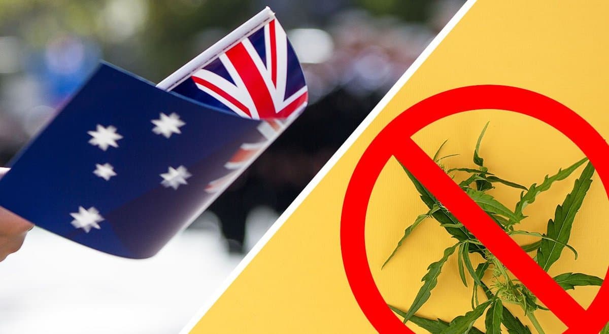 Drug Free Australia's Gary Christian responds - cannabis still leads to violence and homicide
