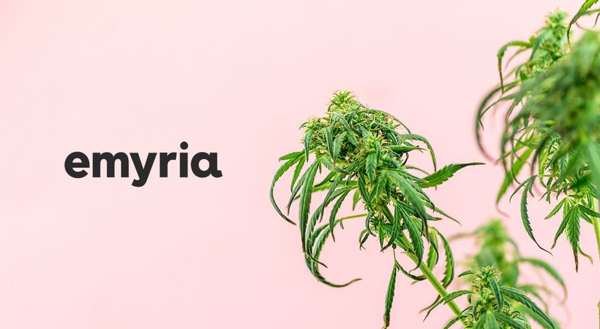 Emyria gets a $5 million injection from Andrew Forrest's Tattarang