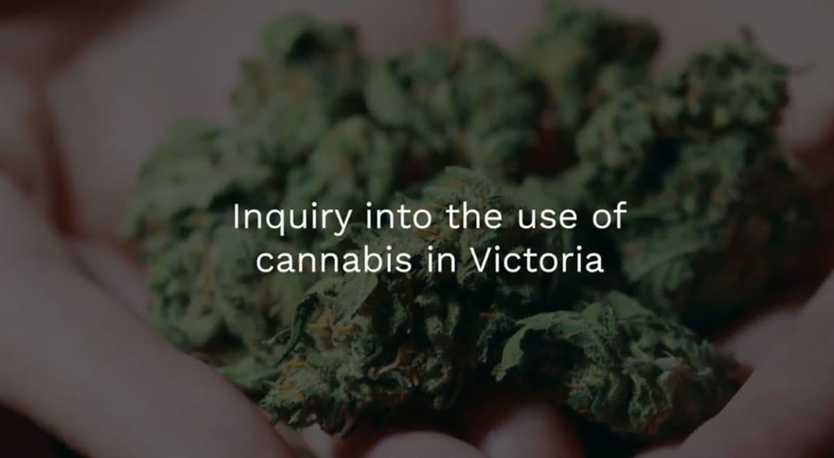Experts indicate that “a new approach is needed” during Victoria’s Cannabis Inquiry