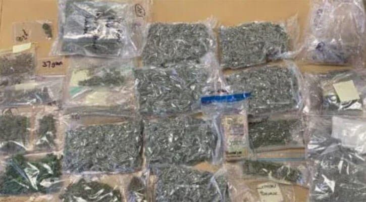 Four Queenslanders Arrested For Cannabis, As Prison Population Explodes
