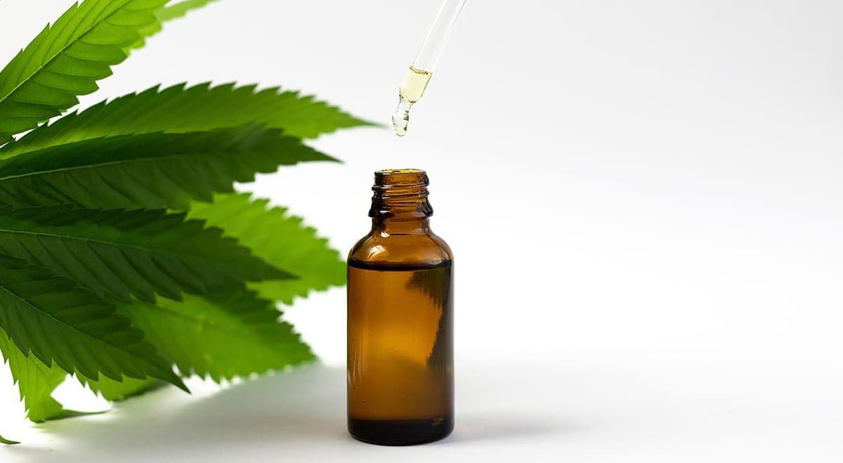 Government data shows medical cannabis industry bloomed in 2020