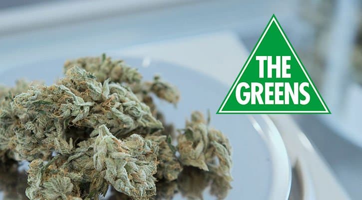 Greens announce plans to erase cannabis possession convictions