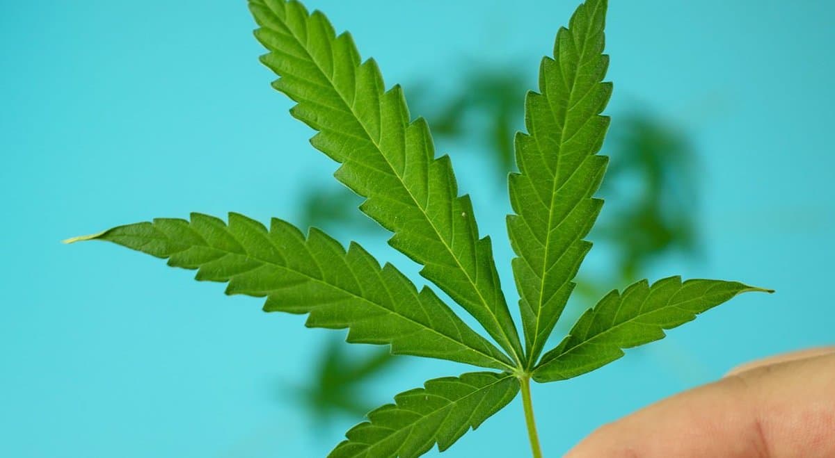How hemp can improve these 5 household items