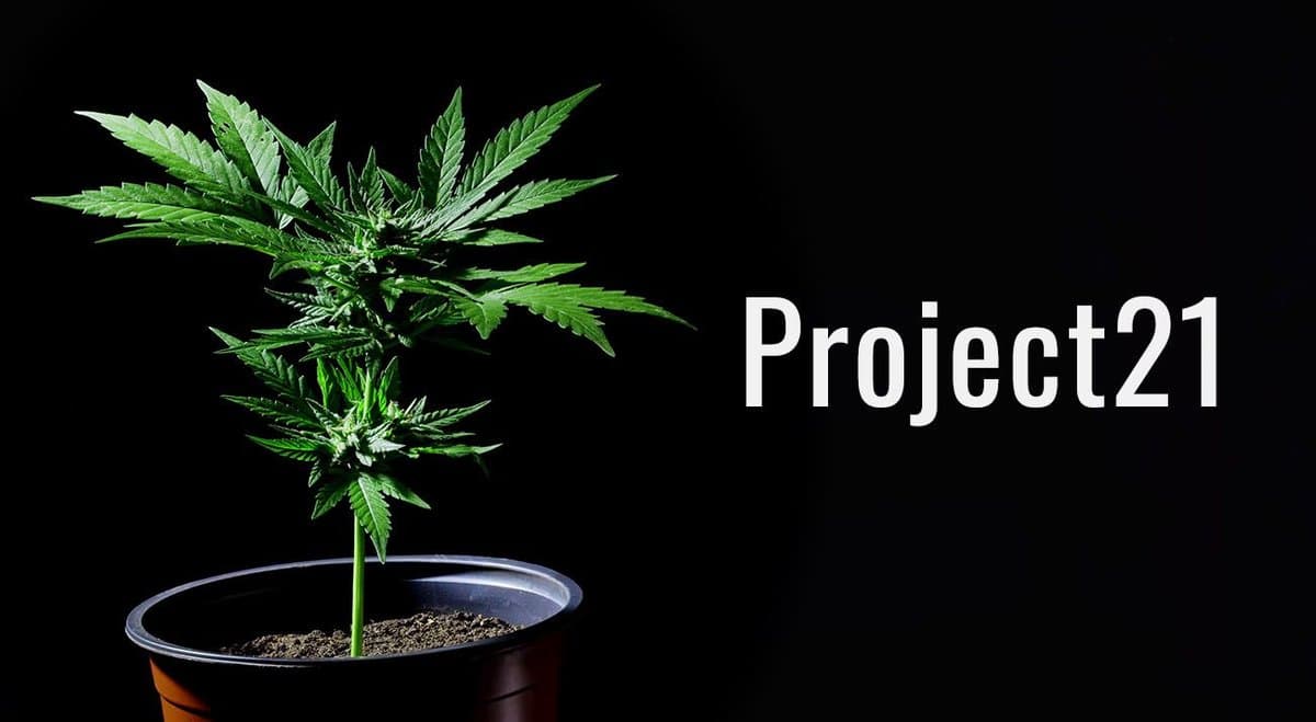 International Medical Cannabis Patient Registry ‘Project Twenty21’ Goes Live
