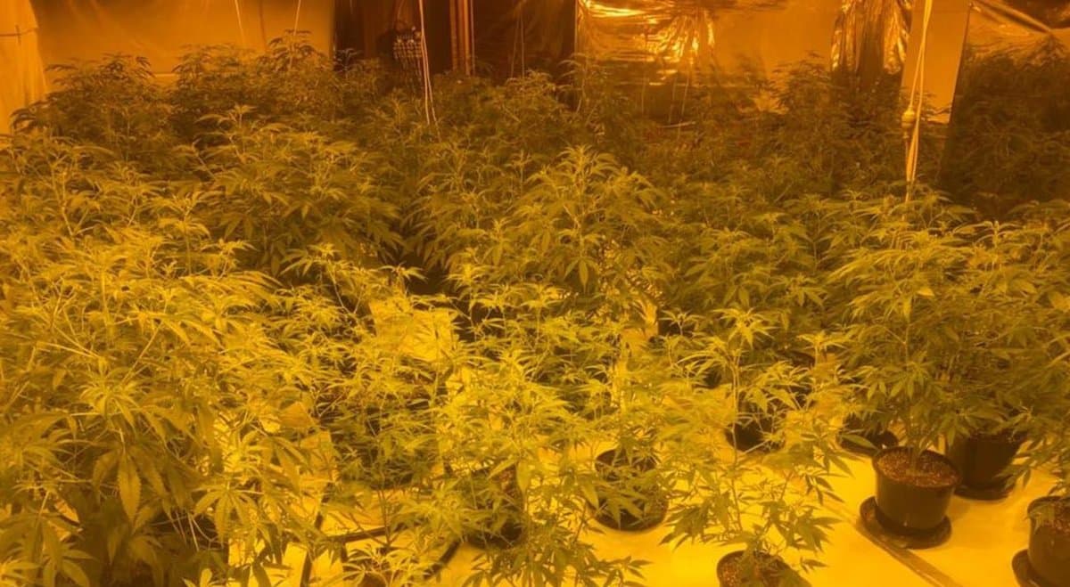Italian tourist argues he was “trapped” by COVID when faced with life sentence or $1 million fine for cannabis