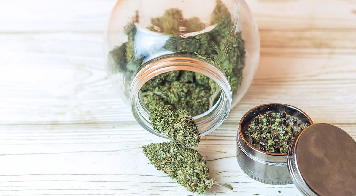 Man with epilepsy fined for growing his own medical cannabis
