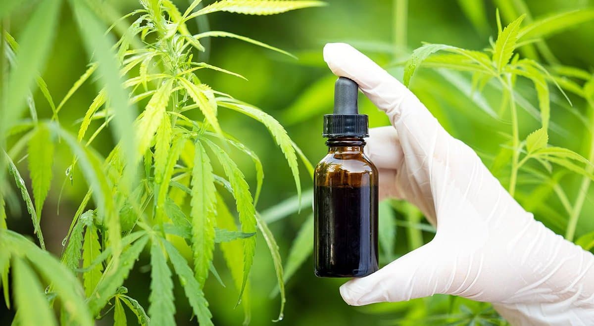 Medical cannabis company BOD sees stock price soar after announcing record sales for April