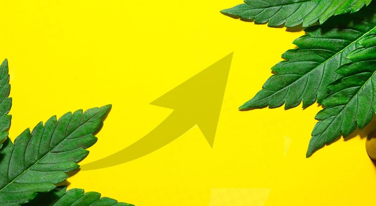 Medical cannabis continues to boom in Australia, up 117% from 2020