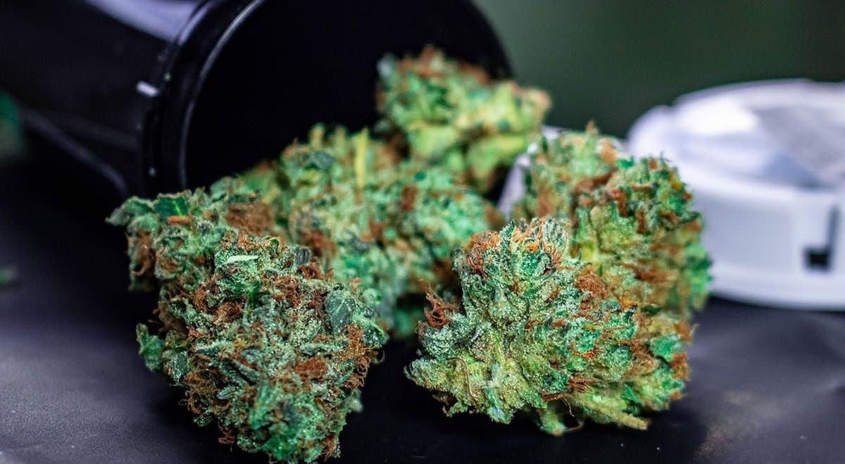 New UNSW research to examine how cannabis legalisation changed the ACT