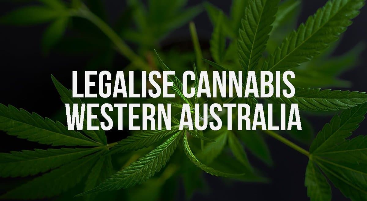 Newly formed pro-cannabis party launching in WA