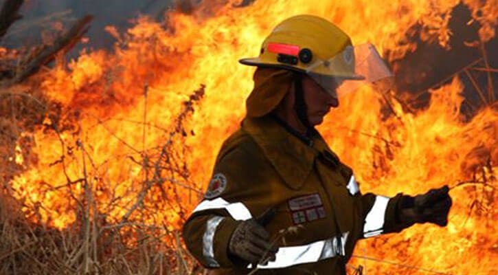 NSW Man Admits To Starting Fire To Protect Secret Cannabis Crop