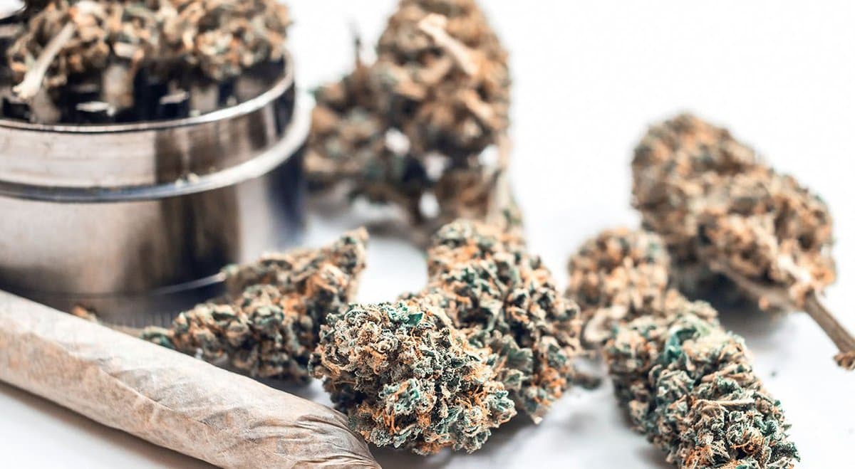 NSW pensioner convicted after taking cannabis for scoliosis