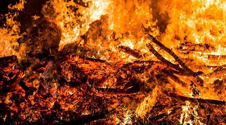 NSW Police Blaze $10 Million Of Cannabis In Sydney