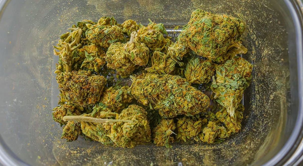 NSW police seize 156 cannabis plants from Mittagong grow house