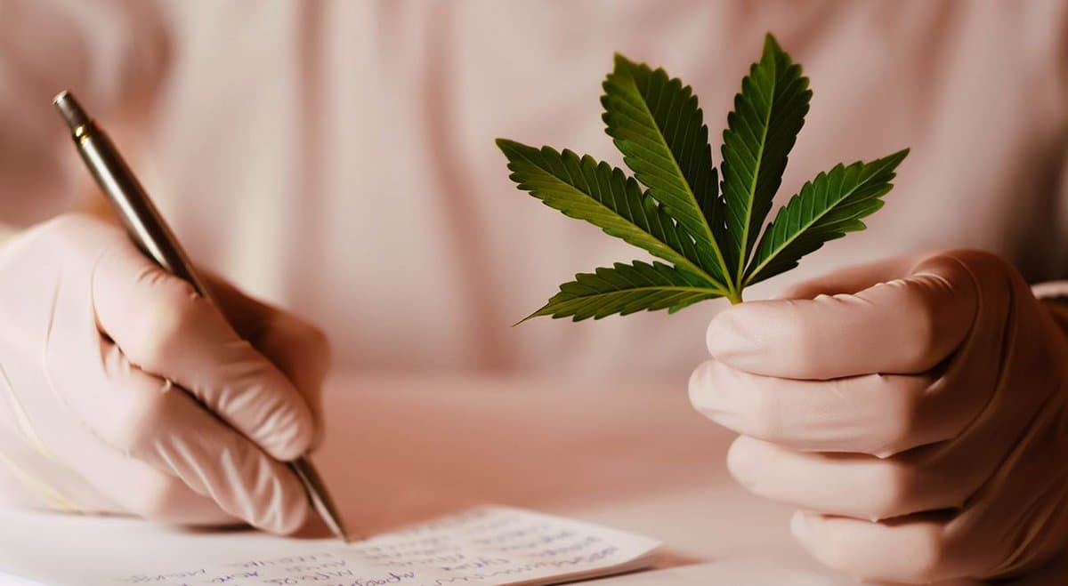 NTI and CannaPacific enter cannabis cultivation deal