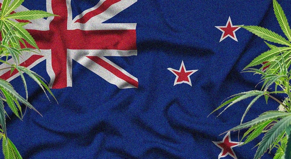 NZ Prime Minister Refuses To Reveal Cannabis Referendum Vote