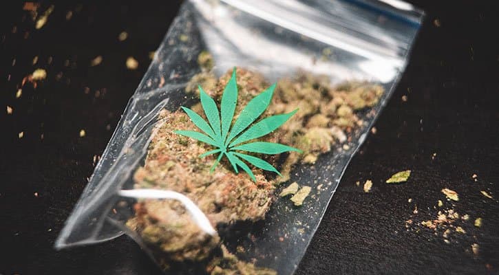 QLD Cannabis Legalisation Petition