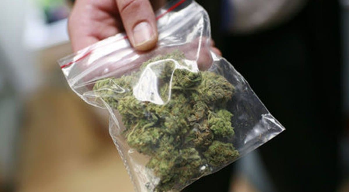 Queensland man convicted after throwing cannabis under cop car