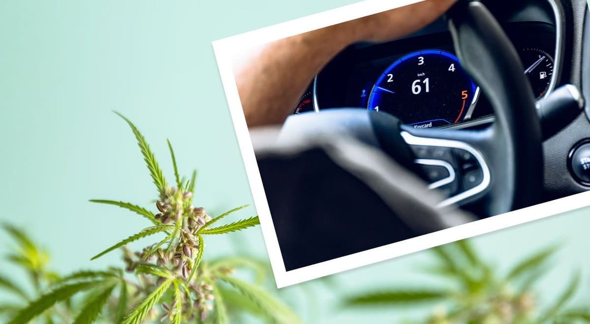 Queensland medical cannabis user says police conducted a "targeted attack" to arrest him