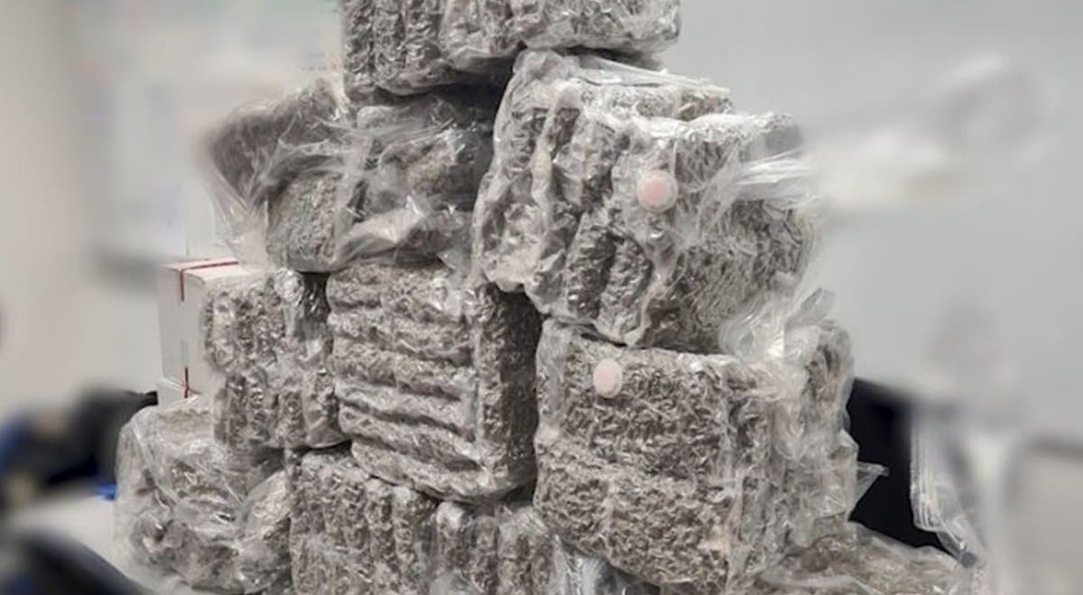 Queensland police bust a $3.5 million airport drug trade