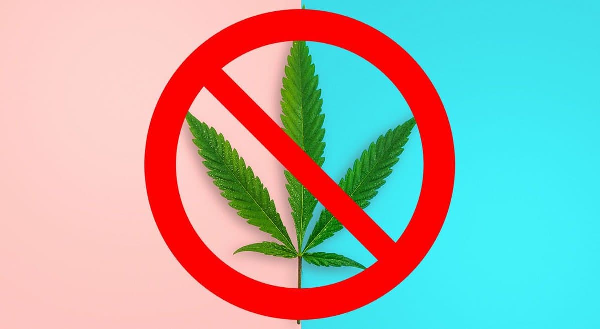 Reasons why Australia should NOT legalise recreational cannabis
