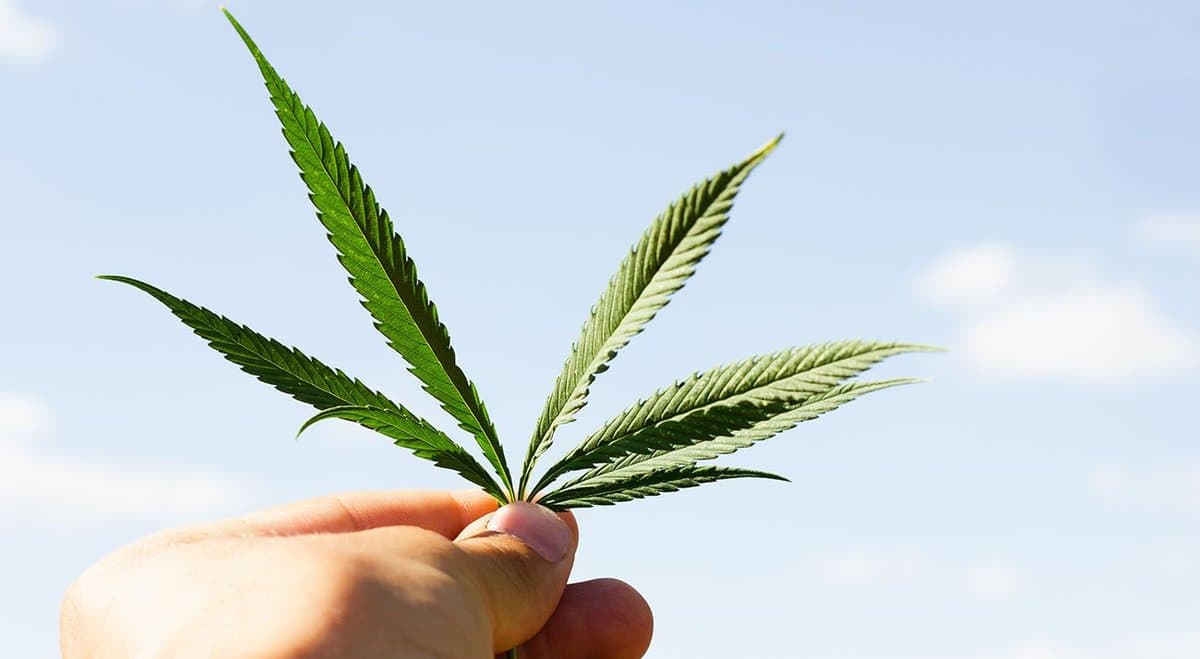 Research finds THC treats feelings of anxiety better than CBD