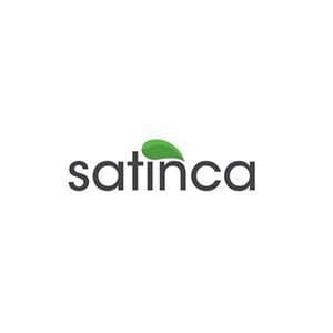 Satinca