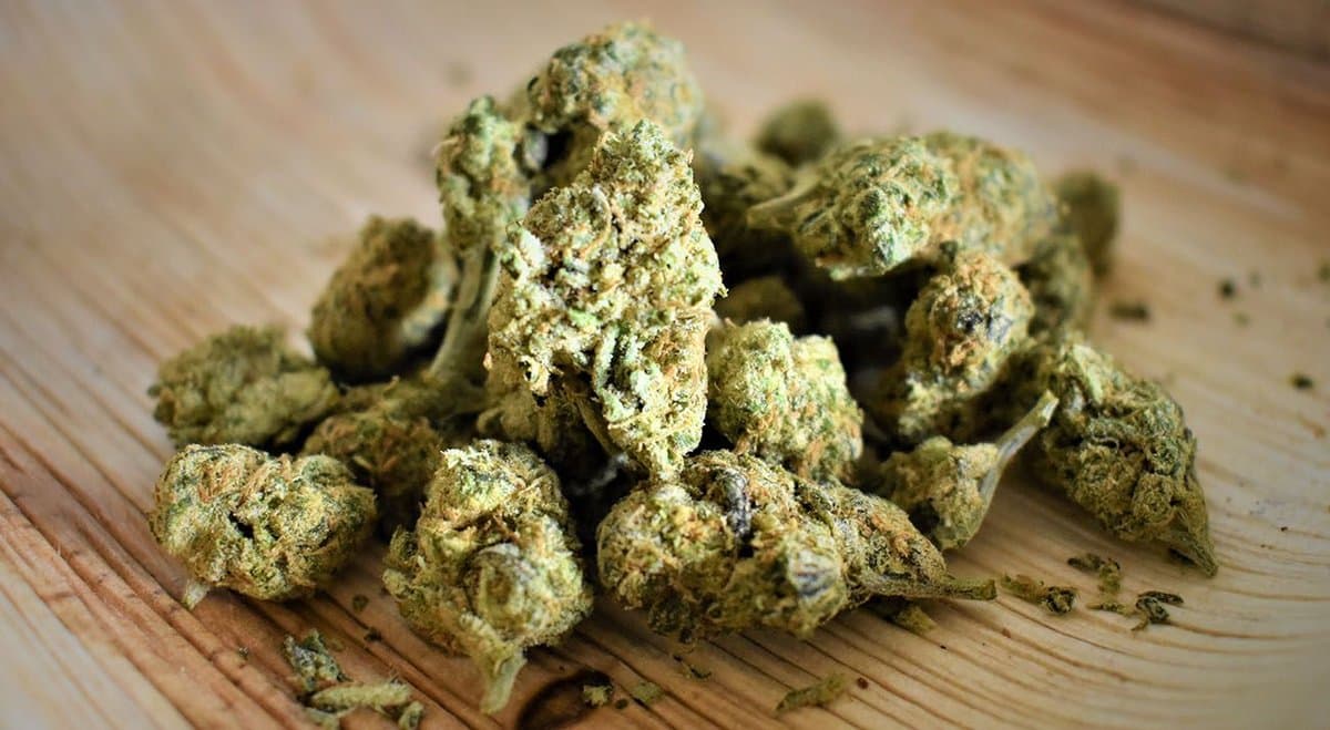 South African cannabis legalisation bill blasted by local businesses