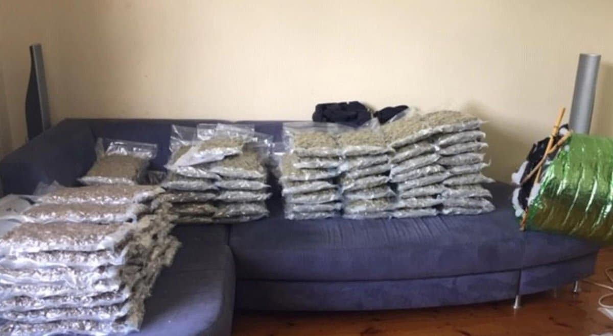 South Australian police seize $1.5 million of cannabis in bikie bud bust