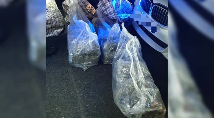 Speeding Car Uncovers $250,000 of Cannabis